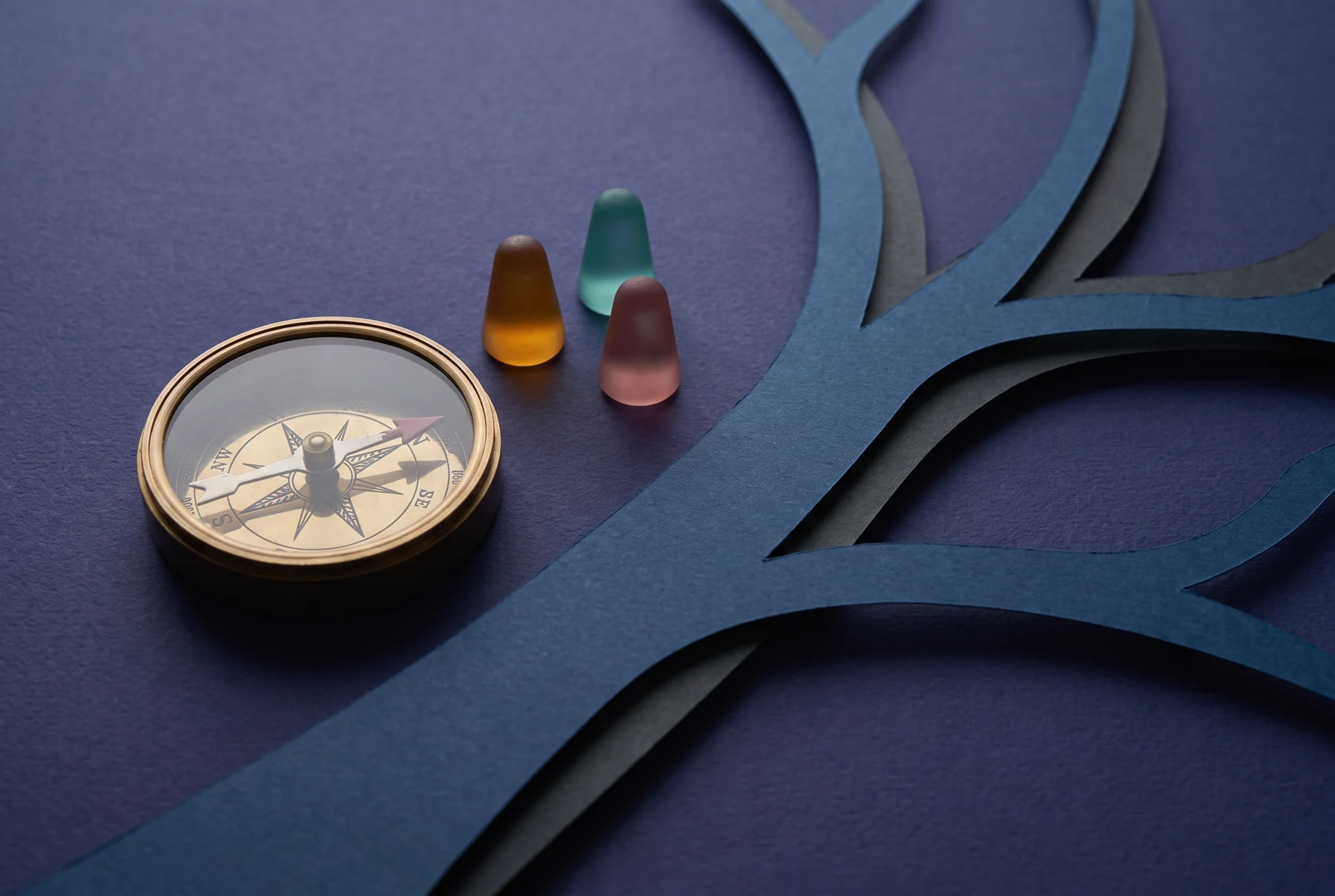 Compass and pathway markers